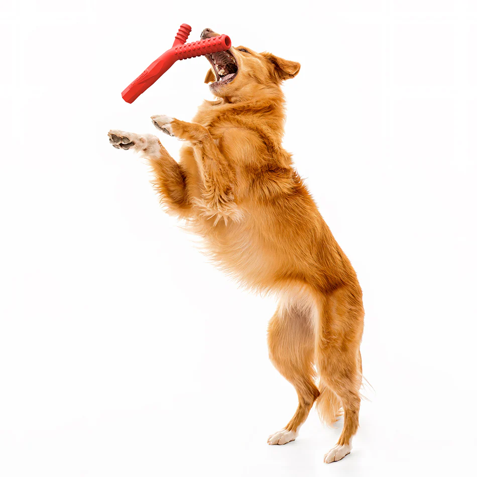 Fetch Stick - Image 4