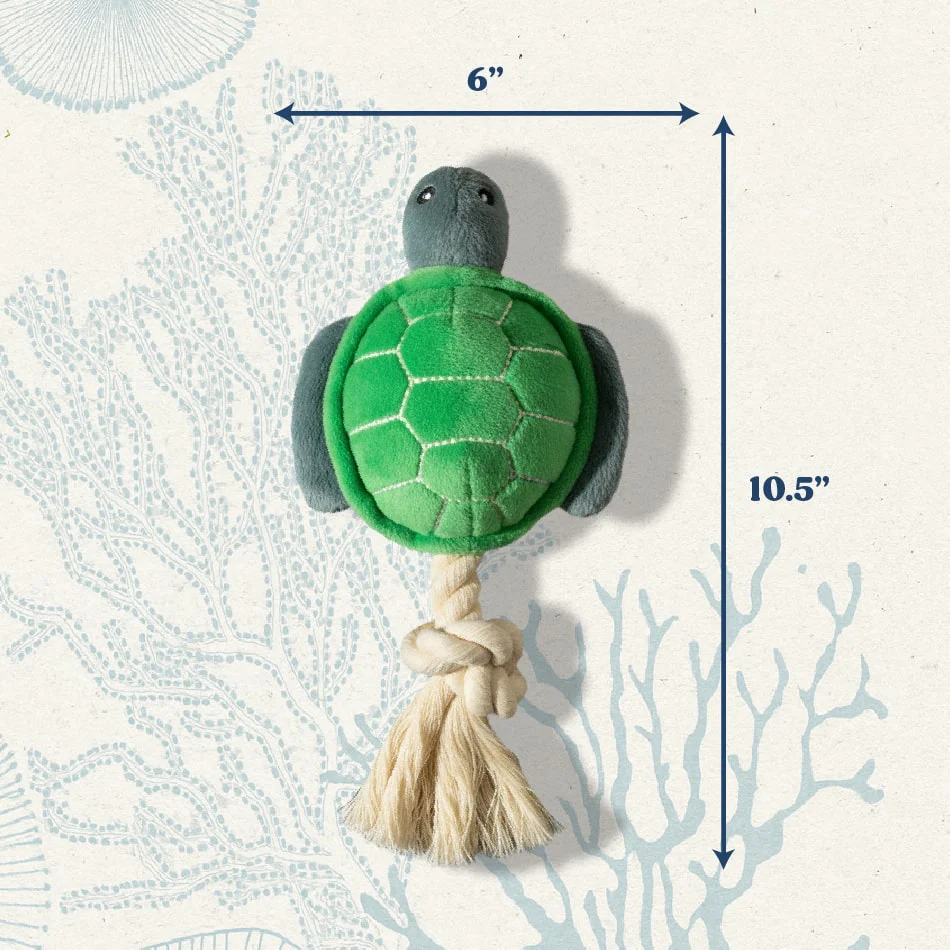 Timmy the Turtle - Image 7