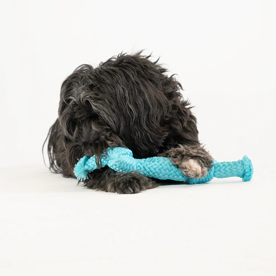Dri-Tech Dental Rope - Image 4